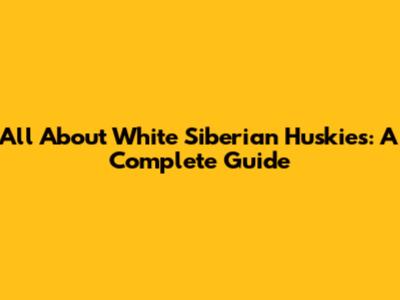 All About White Siberian Huskies: A Complete Guide